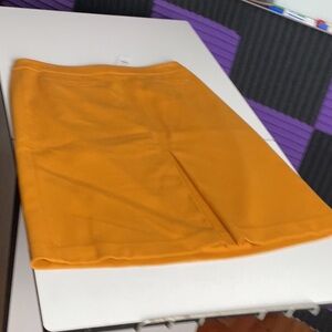 Elegant Orange Skirt